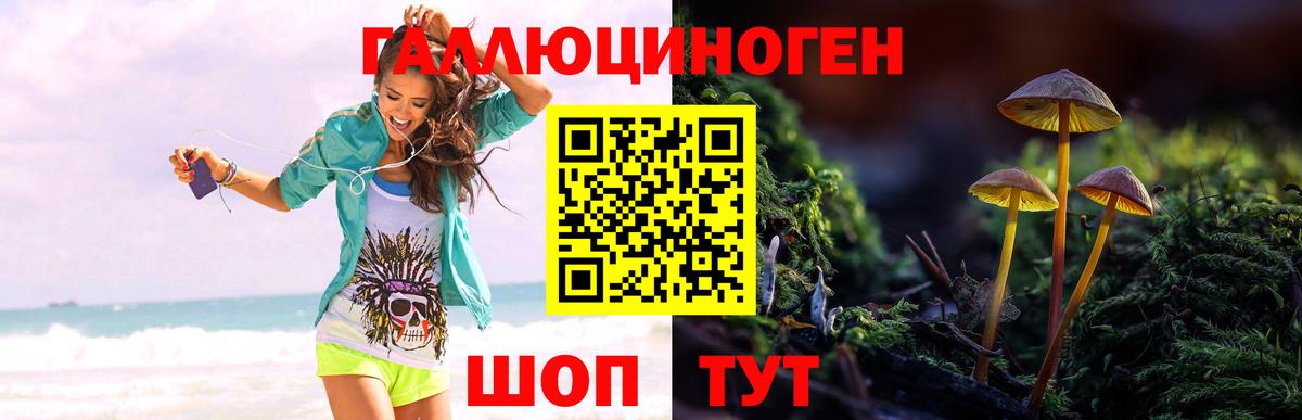 Артёмовский  Галлюциногенные грибы Magic Shrooms  Вход с VPN  Галлюциногенные грибы Magic Shrooms 